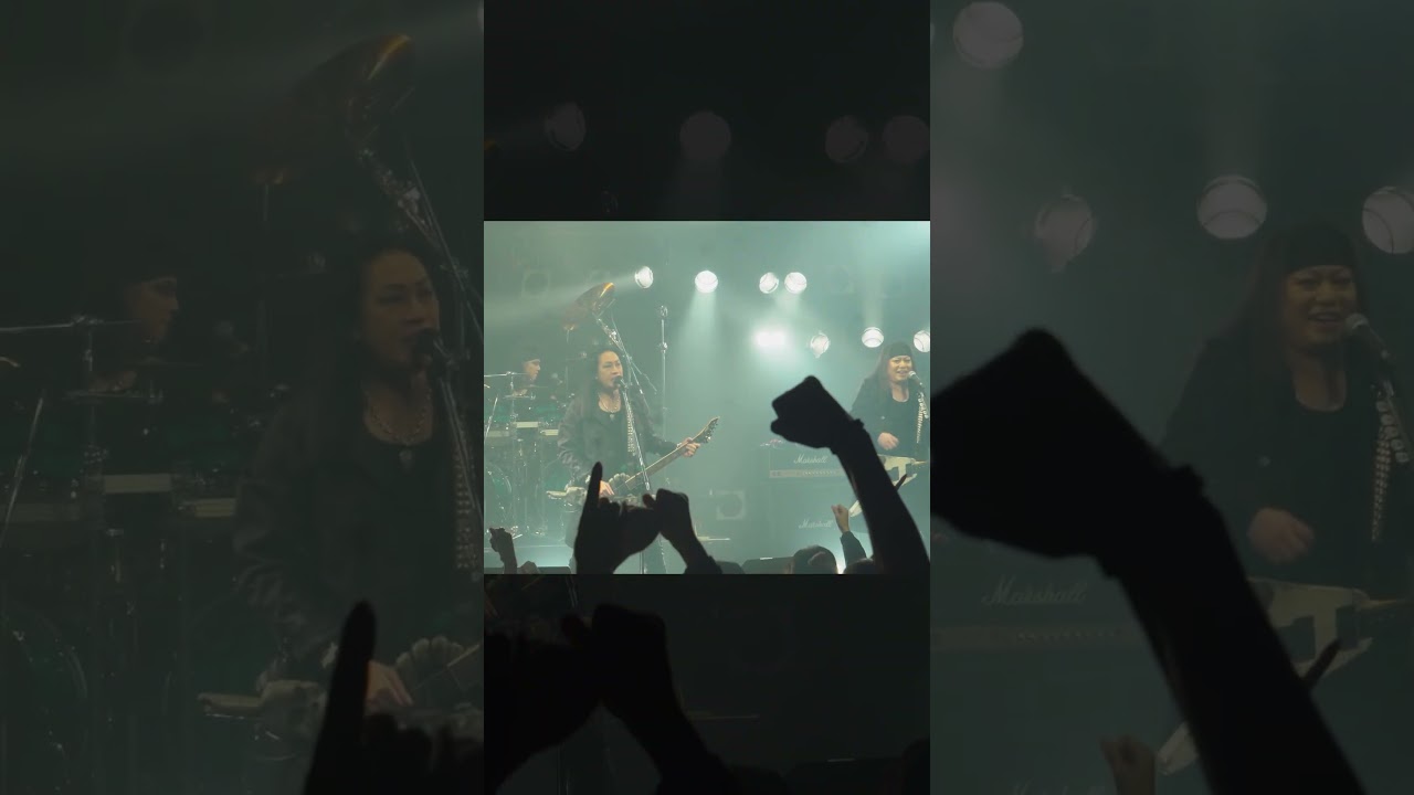 SEX MACHINEGUNS🔥HEAVY METAL🔥 #metal