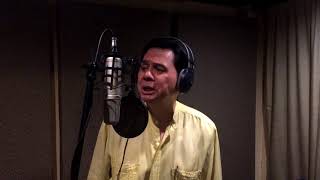 Arthur's Theme Best That You Can Do   Manuel Negado cover