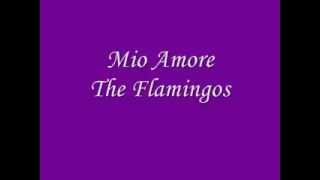 The Flamingos Mio Amore