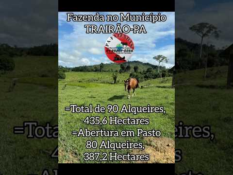 90 Alqueires a venda em TRAIRÃO-PA, 9499267-0266 WhatsApp #fazenda #pecuariaapastodoseculo21