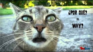 Chapter 4A Pronunciation Lesson - Vocabulary 4A Pronunciation Lesson