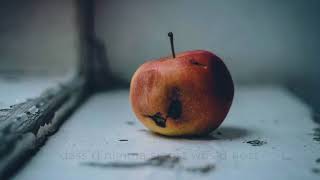 NELIO -  Brauner Opfi (audio)