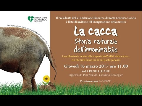 In quanti i giorni il gattino avrà tutti i vermi Pigne da parassiti