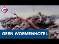Haagse centrumbewoners krijgen geen vergunning voor wormenhotel