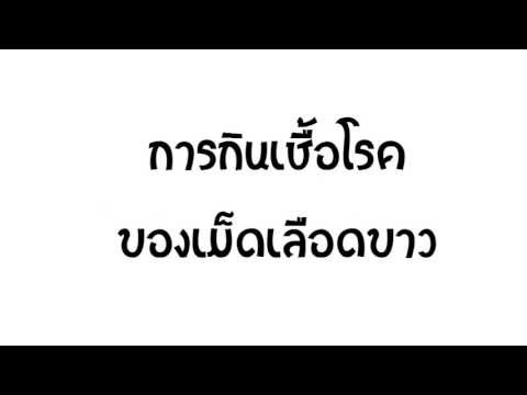 ผล finlepsin ในความแรง เพิ่ม rosehips แรง