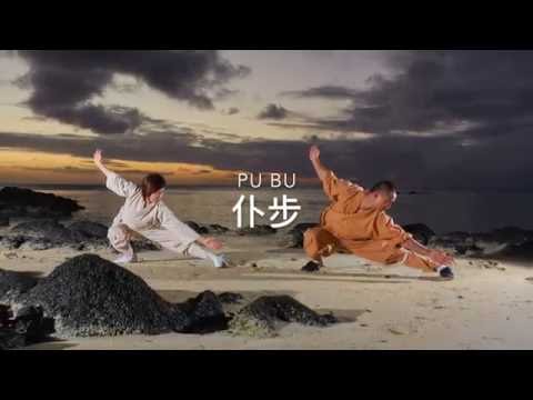 Tutorial - Wu Bu Quan 五步拳 HD