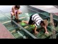 Architectural Glass | Glass Floors | Jockimo Inc