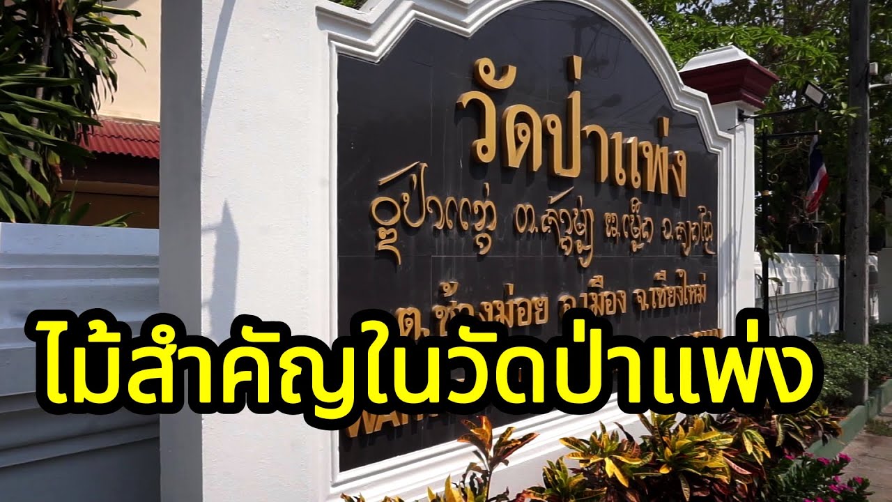 Wat Pa Phaeng