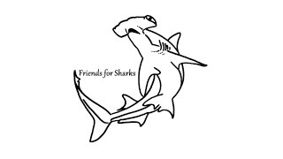 preview picture of video 'Welcome to Friends for Sharks'