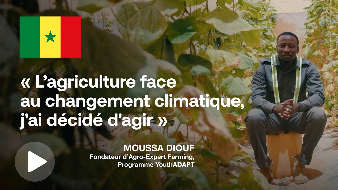 Du champ au changement : Agro Expert Farming transforme l’agriculture sénégalaise