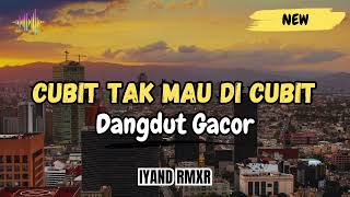 Download lagu Dangdut Enak _ CUBIT TAK MAU DI CUBIT || IYAND RMXR _ New 2025🔥 mp3