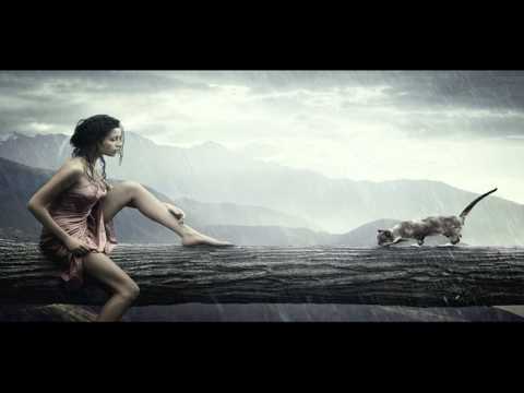 Bits & Buzz - The Cycle