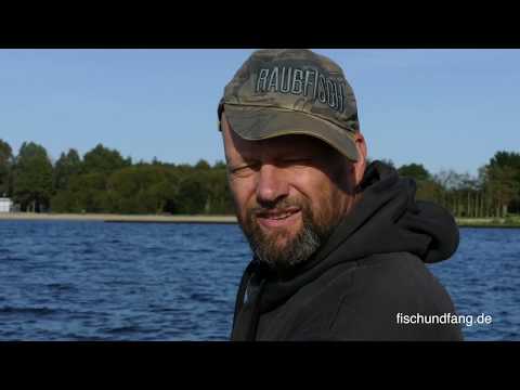 Matze Koch: Perch, Pike, and Mythical Creatures - Matze's Antics 10-2019