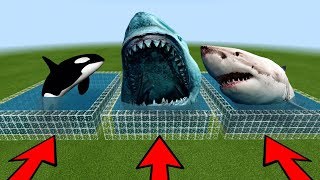MCPE: DO NOT CHOOSE THE WRONG FARM (Megalodon, White Shark &amp; Orca)