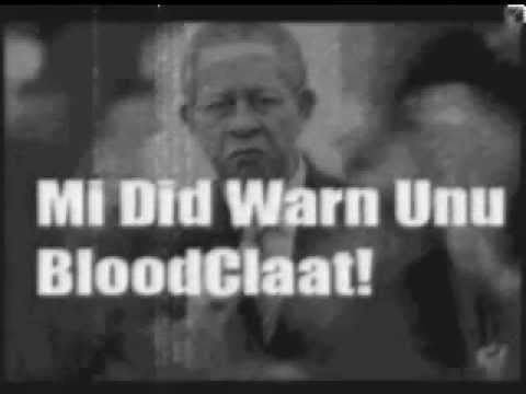 Cdot Lightwork Freestyle