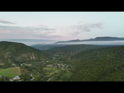 🌄 Amanecer en El Fuerte | Nubes bajas y loros despertando