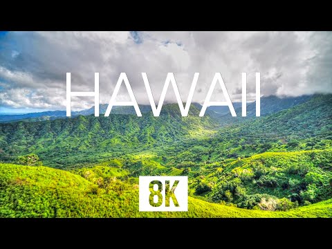 Hawaii in 8K - Aloha from the Scenic Paradise🍹🌴☀️