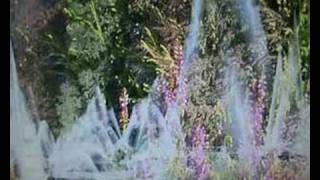 Klaus Schulze. Elvish Sequencer.