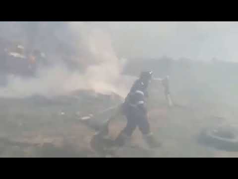 ebihoreanul.ro - Incendiu de proporţii la un adăpost de oi din Urvind