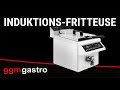 Commercial induction fryer - 8 litres - 3.5 kW - with automatic basket lifting