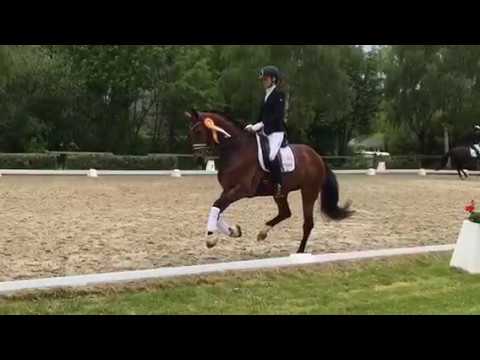 Espe Siegerehrung Dressurpferde L in Lienen