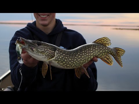 Fall Pike Fishing Lures And Tactics!