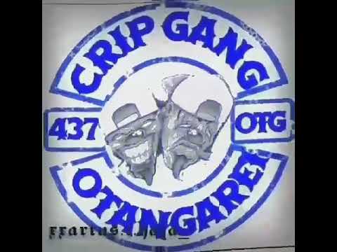 𝕮𝖗𝖎𝖕𝖌𝖆𝖓𝖌437?$