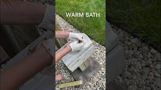 SAVING A HUMMINGBIRDS LIFE!