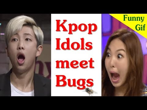 Kpop idols afraid of BUGs | K-POP IDOLS VS. BUGS