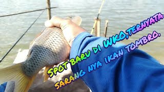 Download lagu NEW FISHING SPOT AT WKO, THE BIG CARP ARE ALL GATHERING HERE. mp3