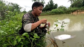 September 30, 2025. The fish is caught. // Put the hook to catch the fish.