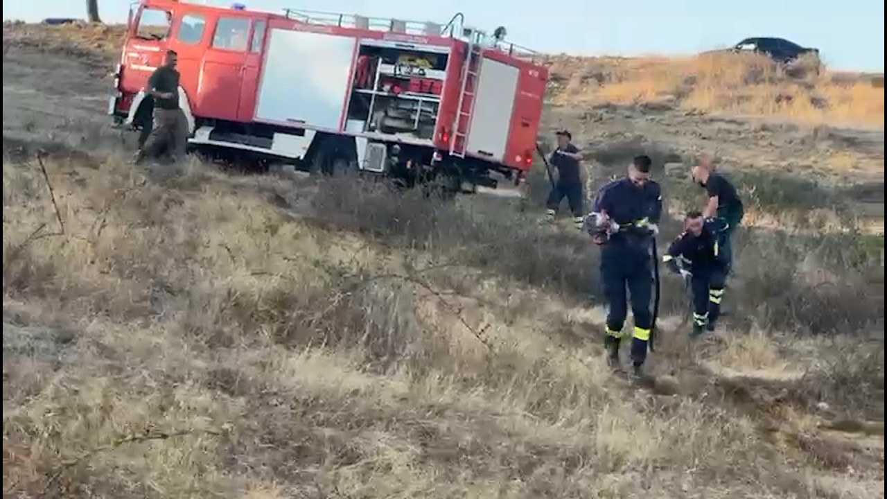 Zjarr në Karicë të Matit, flakët përhapen nga livadhi në pyllin me dushqe, forcat zjarrfikëse në terren