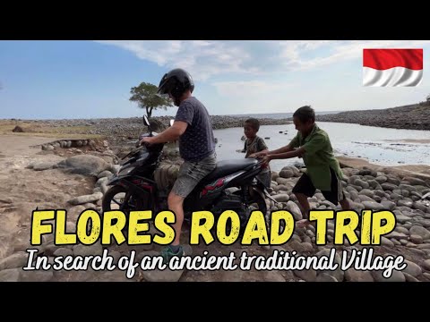Flores road trip, Labuan bajo, wae Rebo, Indonesia island, exploring Flores #46vlog