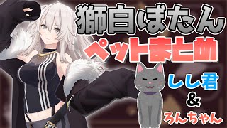 【獅白ぼたん】ホロメンのペットまとめ【ホロライブ/切り抜き】