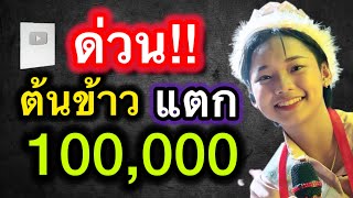 ￼ ด่วนต้นข้าวมีผู้ติดตามครบ 100,000 คนแล้ว #ต้นข้าวสุปรียา  #ต้นข้าวสุปรียา