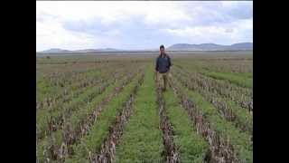 preview picture of video 'Over the Fence: Gunnedah growers double production - 2011'