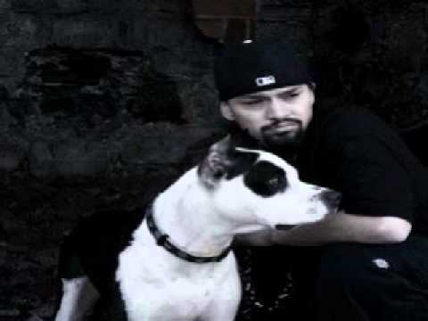 Salive empoisonné - Souldia Ft. 2m,Skyzo 2niro et Paranoize