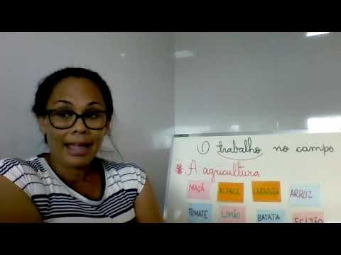 O trabalho no campo.