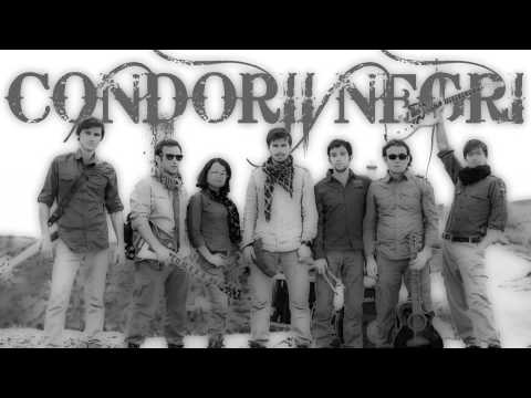 Condorii Negri - Padurea de pini