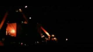 The Organ 'Love, Love, Love'