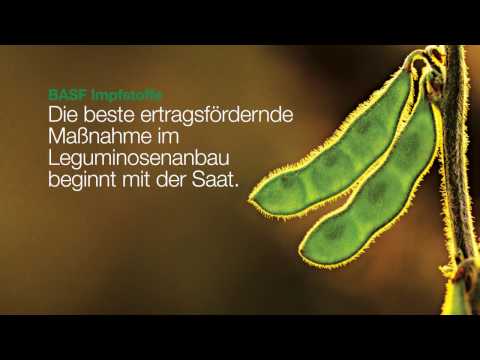 Impfstoffe in Leguminosen