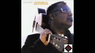 Incognito  -  Fences and Barriers
