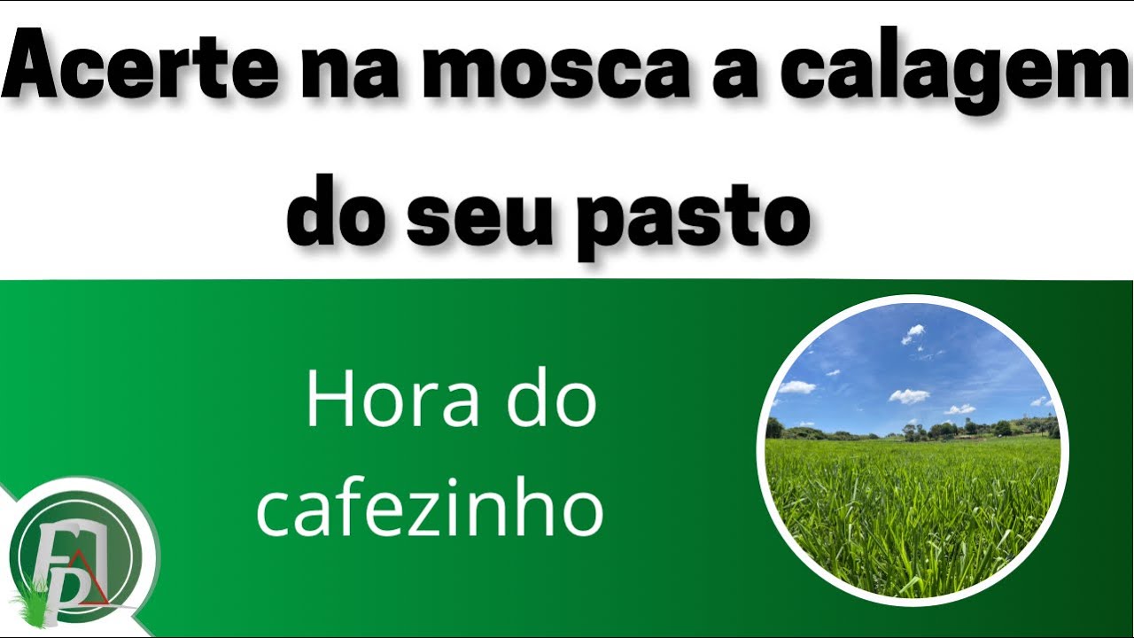 COMO ACERTAR NA MOSCA A CALAGEM DO SEU PASTO