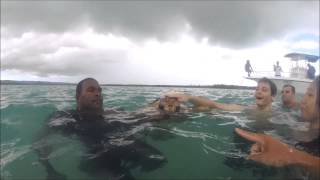 Island #1: New caledonia