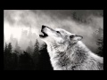 M*Star - одинокий волк 