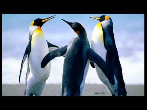 23.09.2014. Maddyson, Cake, Faker - Поле чудес, Сто к одному, Haxball