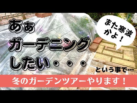 庭を寒さや霜から守る肥料は何ですか?この冬おすすめの5本をご紹介します!  庭園