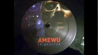 Amewu - Training Day - Leidkultur (2012)