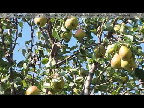 Priced at $210,000 - 13808 Canyon Ranch Road, Fort Worth, TX 76262