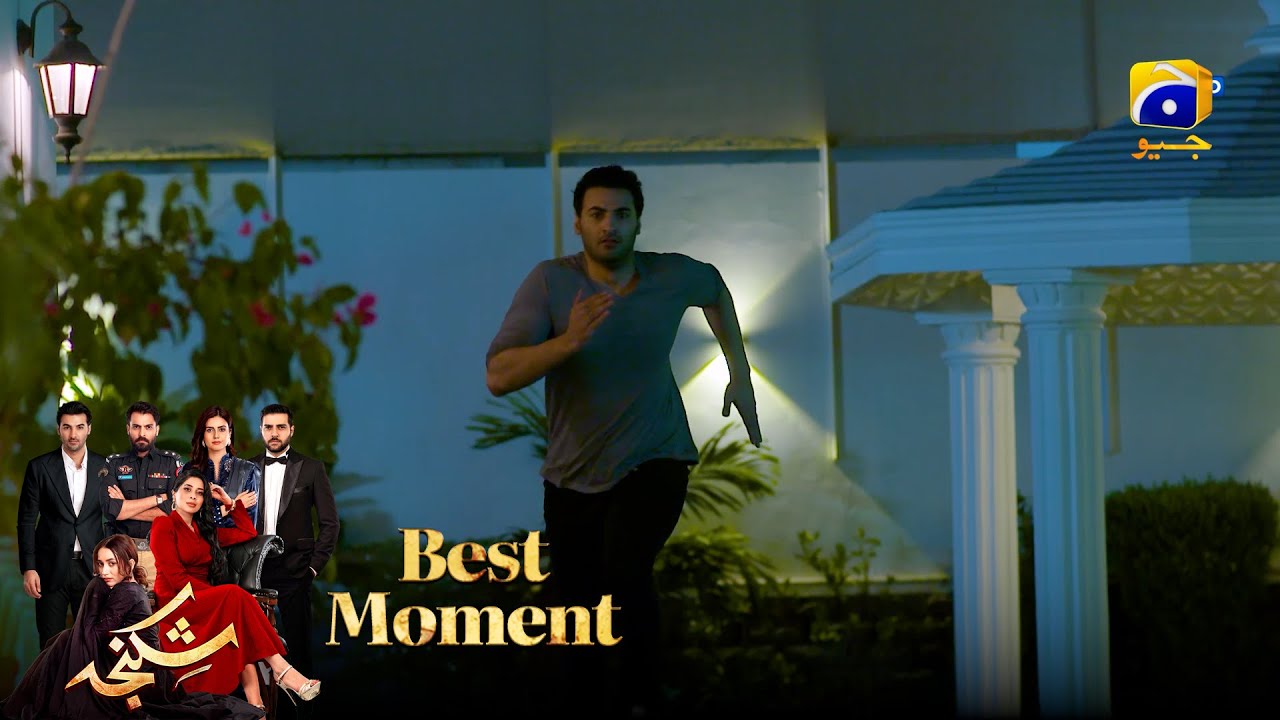Shikanja Episode 08 | 𝐁𝐞𝐬𝐭 𝐌𝐨𝐦𝐞𝐧𝐭 𝟎𝟑 |  Azekah Daniel - Asad Siddiqui - Furqan Quresh | Har Pal Geo
